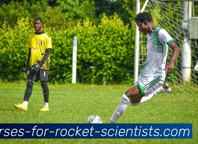 mk sports平台生态图